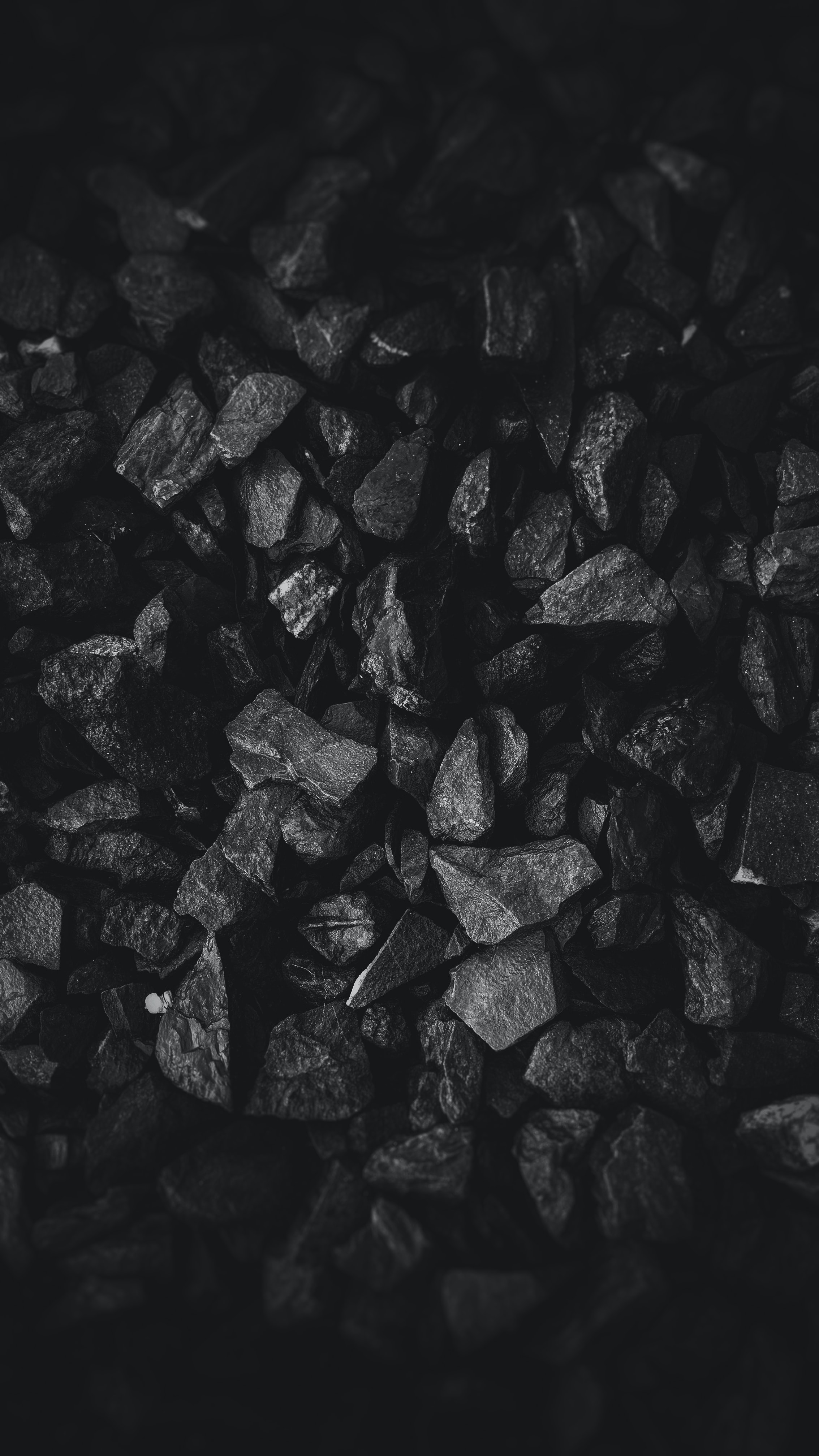 Coal